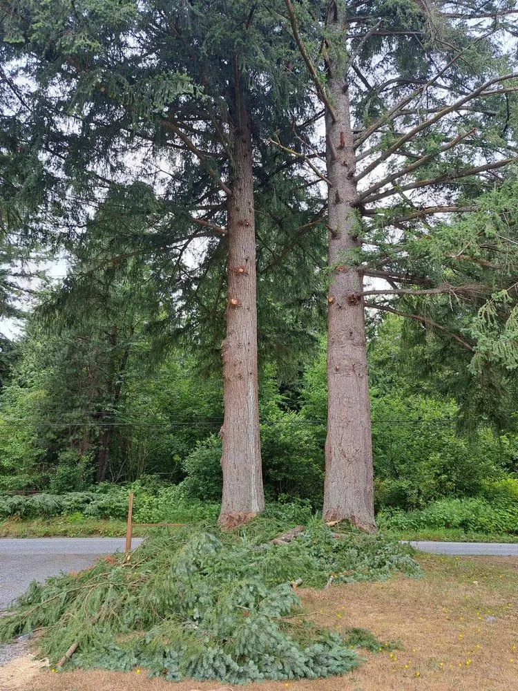 Custom lawn mowing service in Sedro-Woolley, WA by Happy Yards Tree Service & Lawn Care