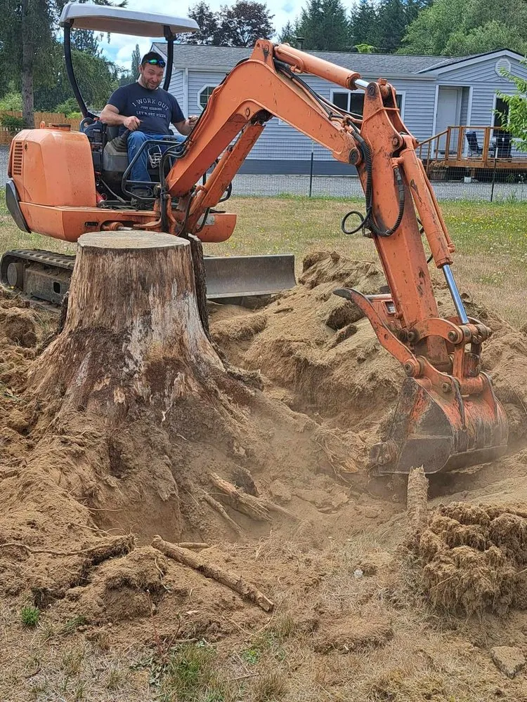 Professional landscape installation in Sedro-Woolley, WA - Happy Yards Tree Service & Lawn Care