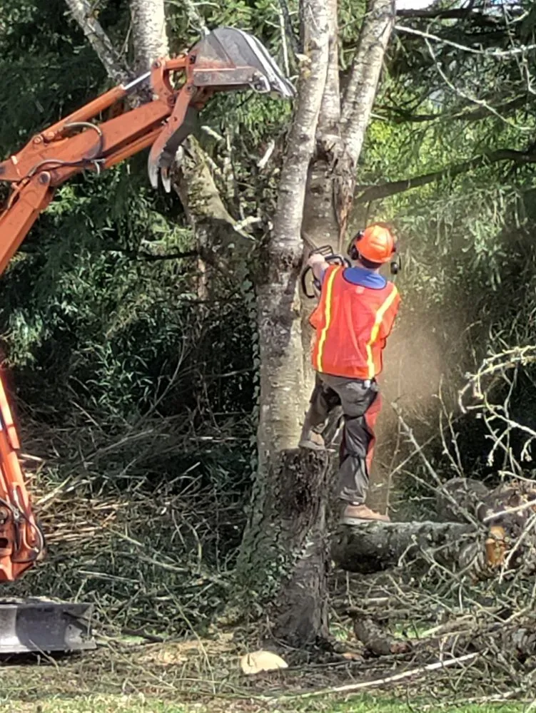 Top-rated landscape installation for year-round maintenance across Sedro-Woolley, WA - Happy Yards Tree Service & Lawn Care