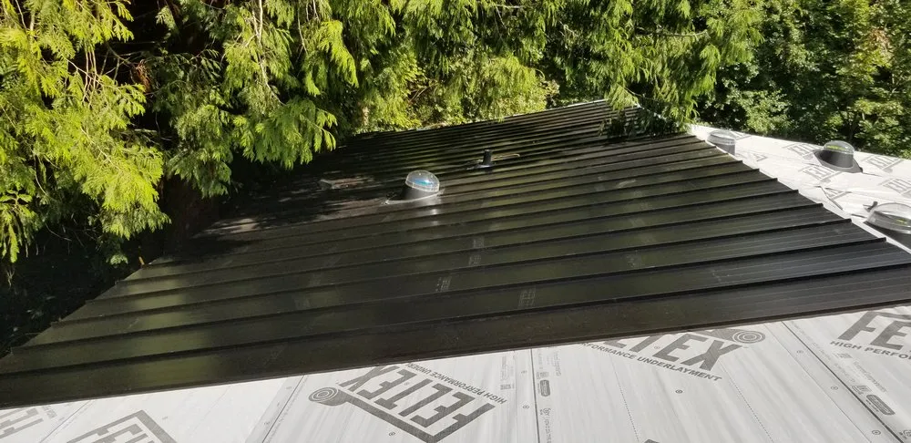 Professional yard cleanup service for outdoor upgrades in Bellingham, WA by Hap's Helping Hands