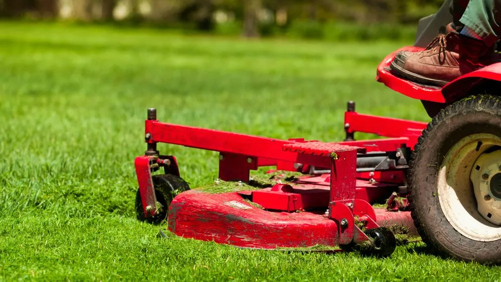 Expert landscape installation in Alpine, UT by Harambe's Jungle Management Services