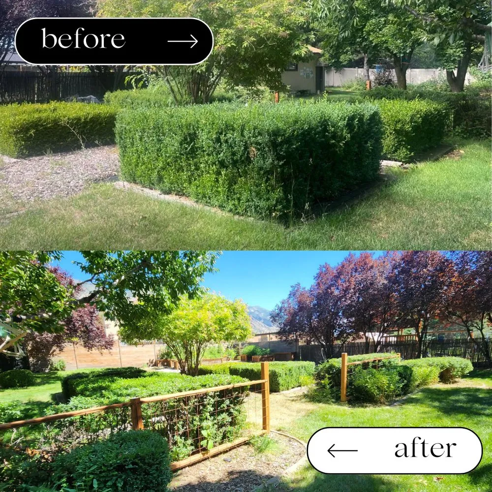 Local yard cleanup service for beautiful yards across Alpine, UT - Harambe's Jungle Management Services
