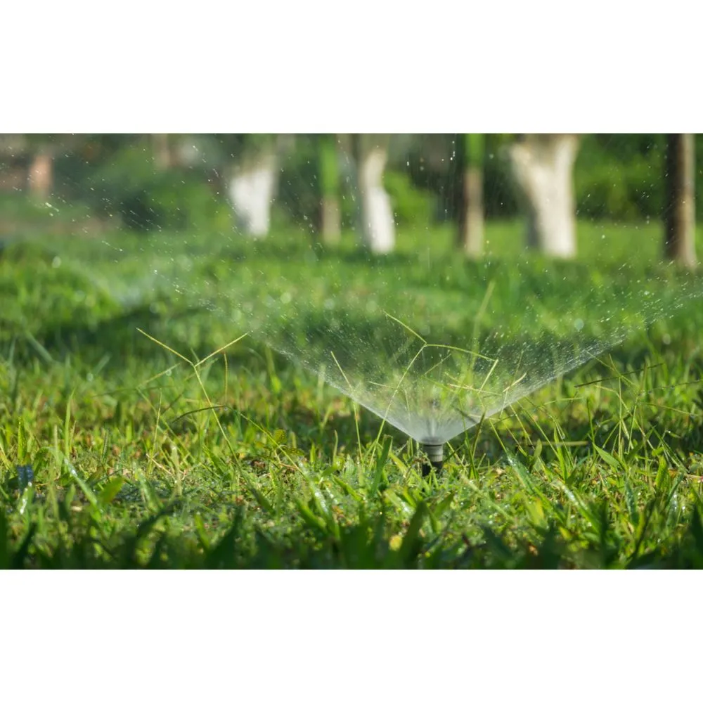 Professional garden landscaping in Alpine, UT - Harambe's Jungle Management Services