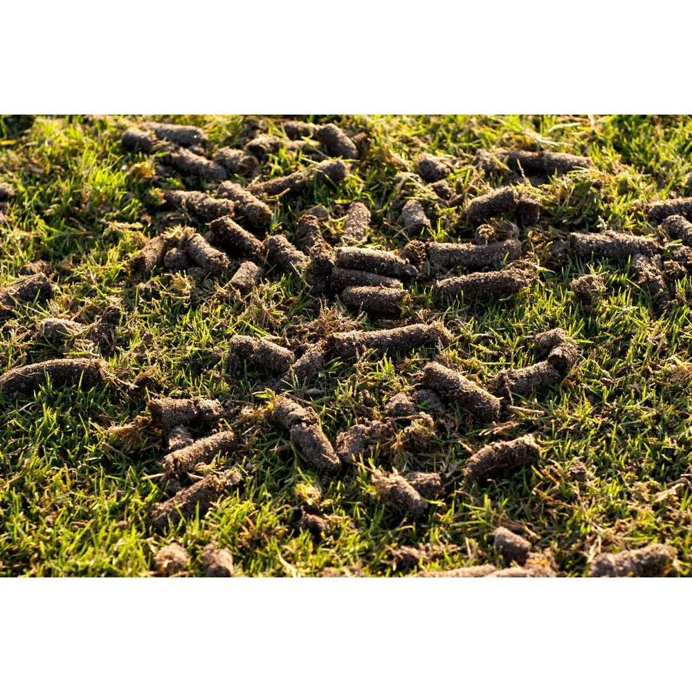 Custom landscape design for residential properties across Alpine, UT - Harambe's Jungle Management Services