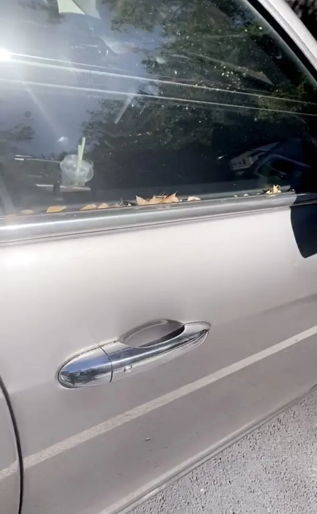 Top-rated lawn mowing service for residential properties across Lilburn, GA - Harb