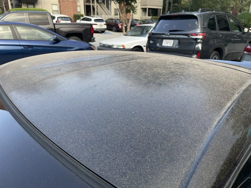 Expert yard cleanup service in Lilburn, GA - Harb