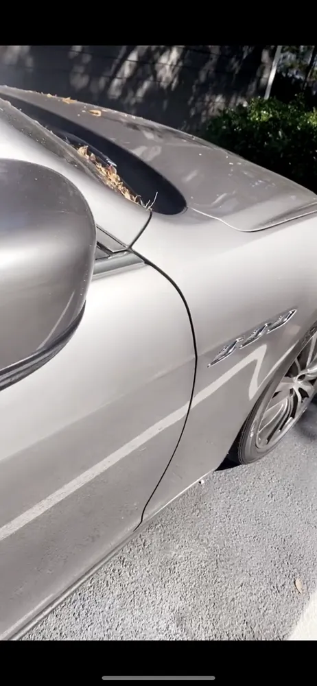 Local yard maintenance in Lilburn, GA - Harb