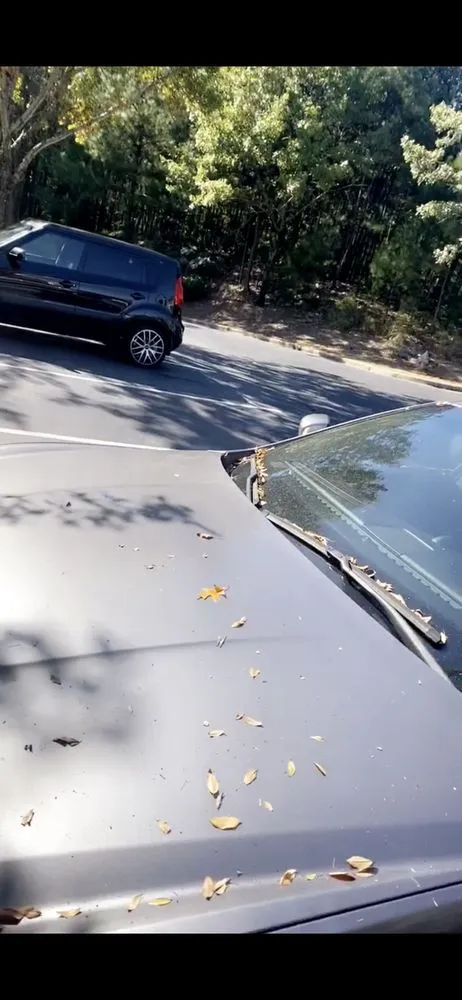 Reliable yard cleanup service in Lilburn, GA - Harb