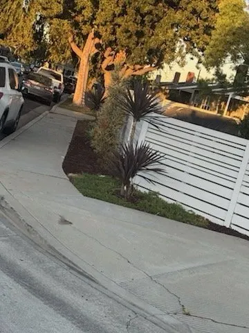 Custom yard cleanup service experts serving Los Angeles, CA - Harbor Area Landscaping