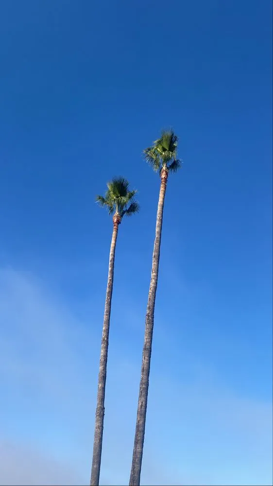 Reliable garden landscaping in Los Angeles, CA by Harbor Area Landscaping