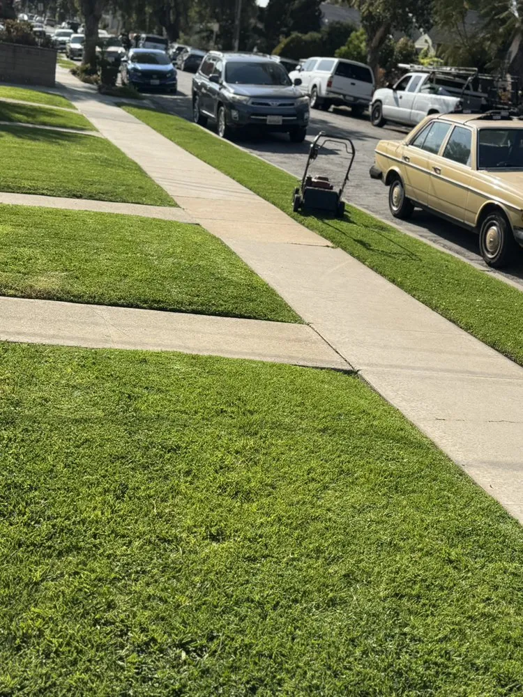 Local landscaping services in Los Angeles, CA by Harbor Area Landscaping