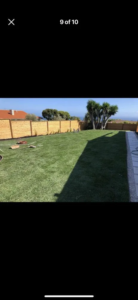 Top-rated lawn mowing service near you in Los Angeles, CA by Harbor Area Landscaping