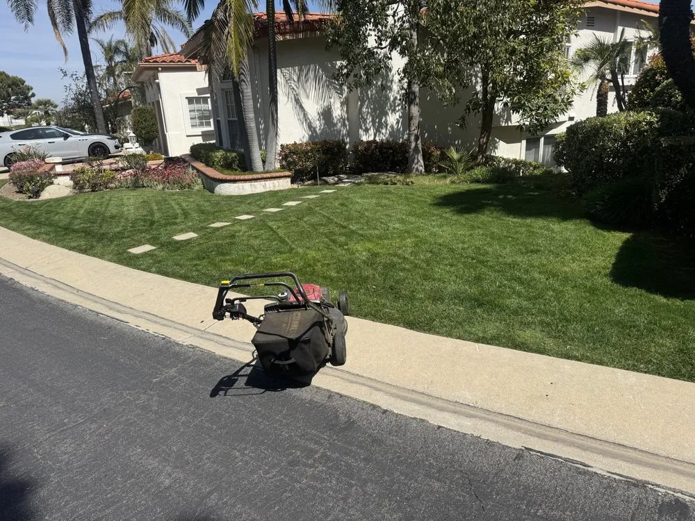 Top-rated yard cleanup service in Los Angeles, CA - Harbor Area Landscaping