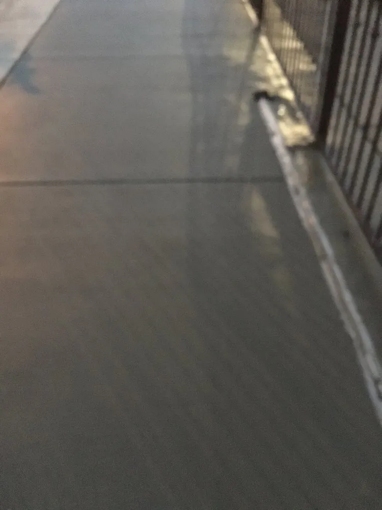 Professional yard maintenance in Los Angeles, CA - Harbor City Mantenance and Landscape