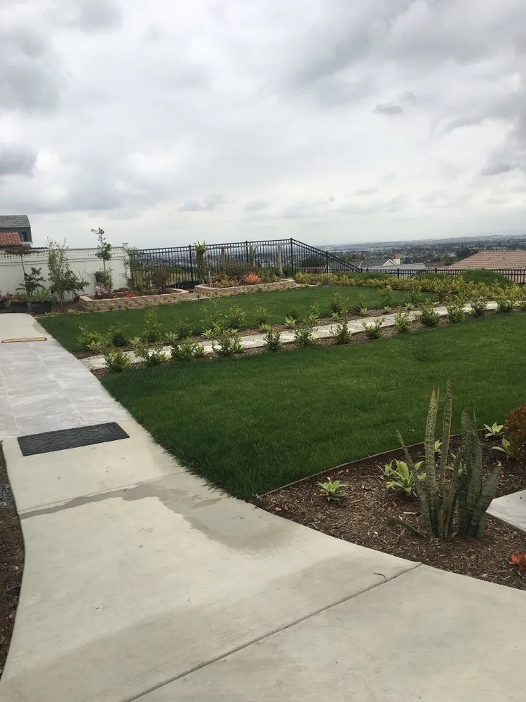 Custom lawn care service for outdoor upgrades across Los Angeles, CA - Harbor City Mantenance and Landscape