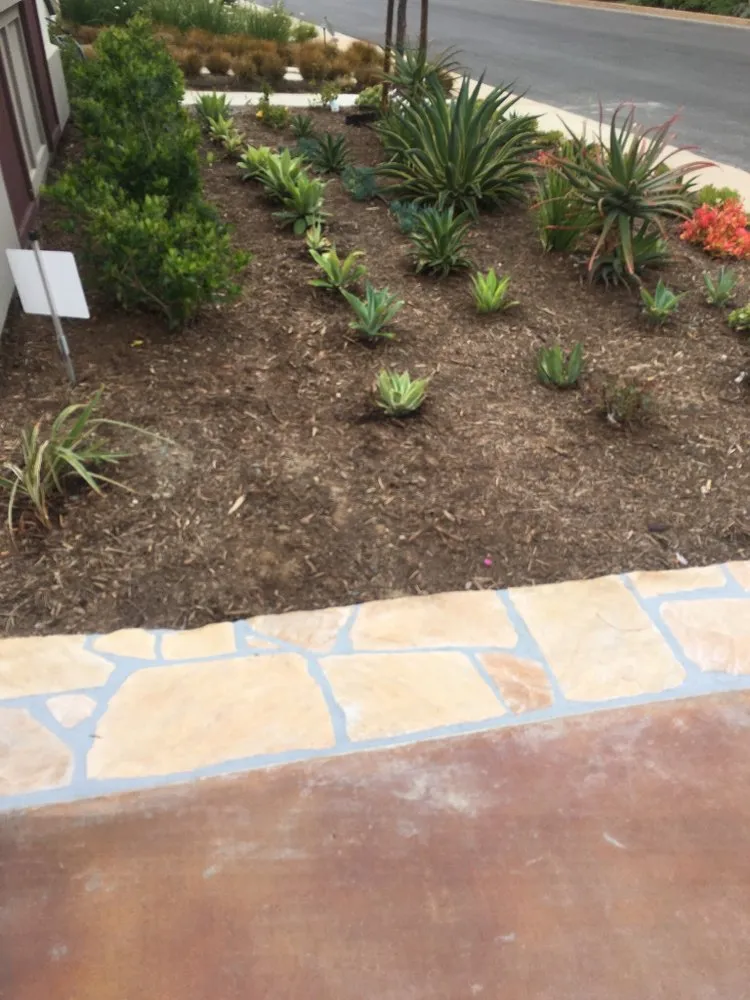 Top-rated garden landscaping near you across Los Angeles, CA - Harbor City Mantenance and Landscape