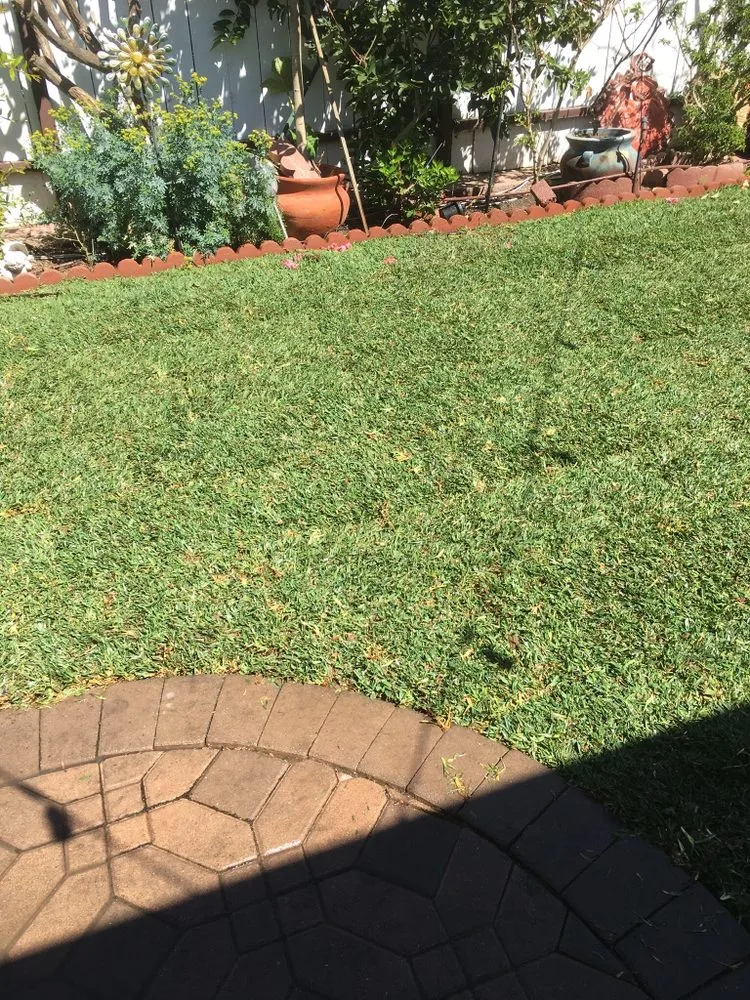 Trusted garden landscaping in Los Angeles, CA by Harbor City Mantenance and Landscape