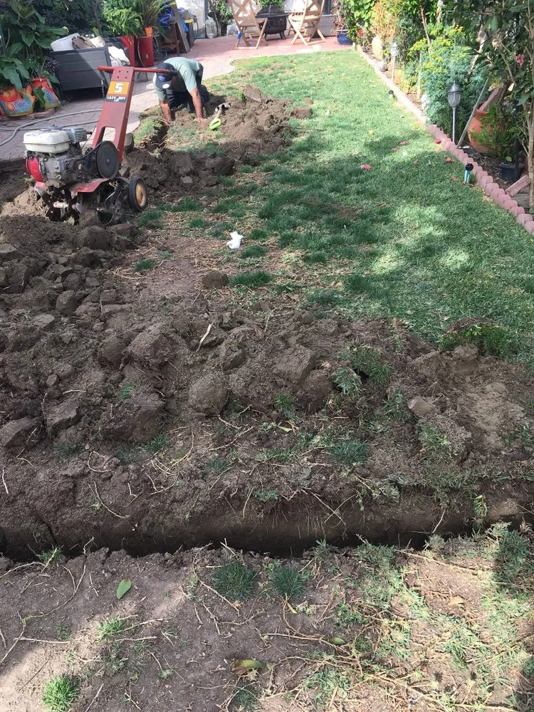 Local yard cleanup service in Los Angeles, CA by Harbor City Mantenance and Landscape