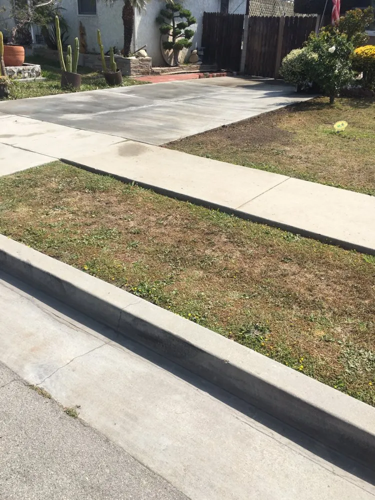Local yard maintenance experts serving Los Angeles, CA - Harbor City Mantenance and Landscape