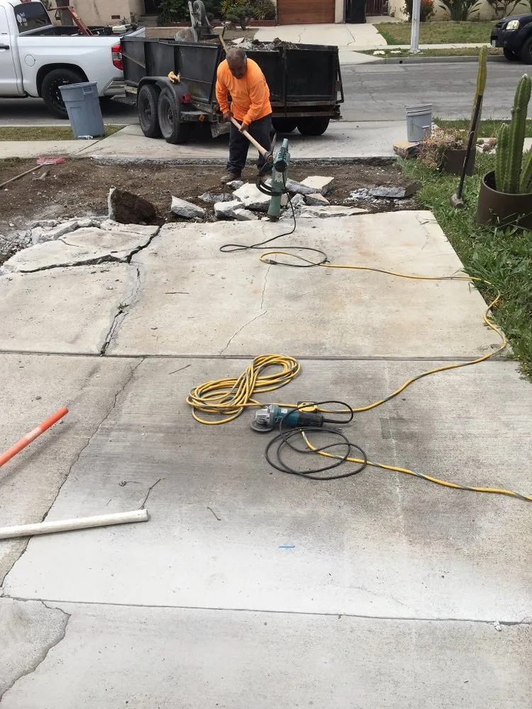 Custom yard cleanup service in Los Angeles, CA by Harbor City Mantenance and Landscape