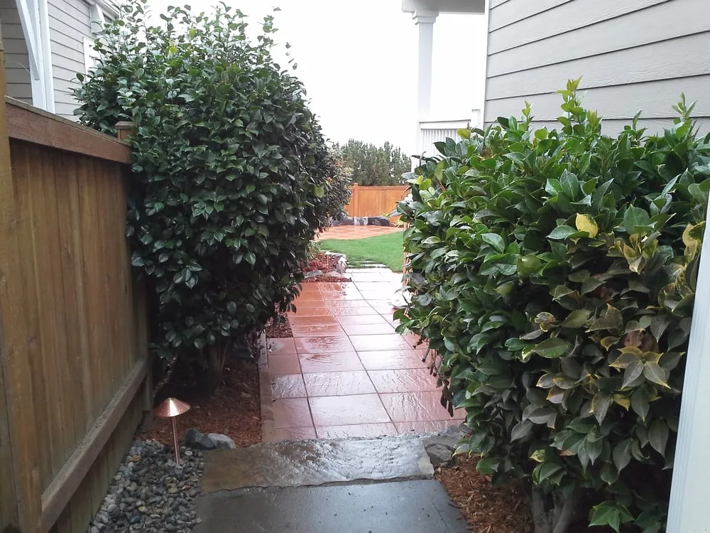 Expert residential landscaping for year-round maintenance across Gig Harbor, WA - Harbor Greenscapes