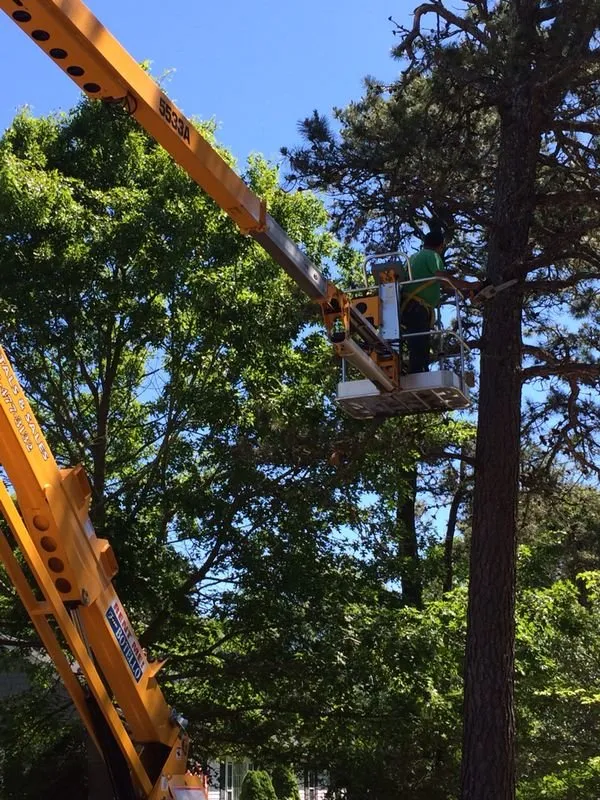 Affordable outdoor landscaping in Barnstable, MA by Harbor Haven Landscape