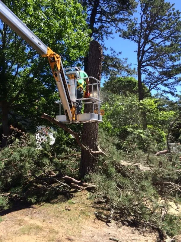 Custom residential landscaping in Barnstable, MA - Harbor Haven Landscape