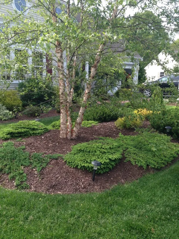 Expert garden landscaping for year-round maintenance across Barnstable, MA - Harbor Haven Landscape