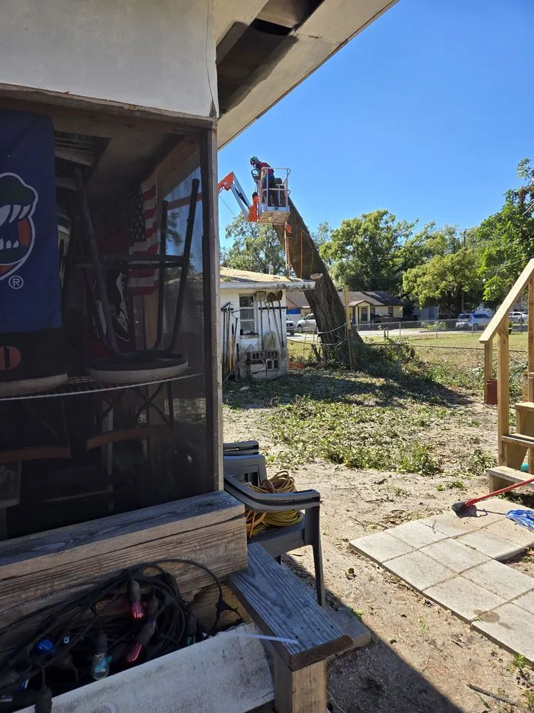 Reliable landscape installation for year-round maintenance across Tampa Bay, FL - Harbor Landscape & Tree