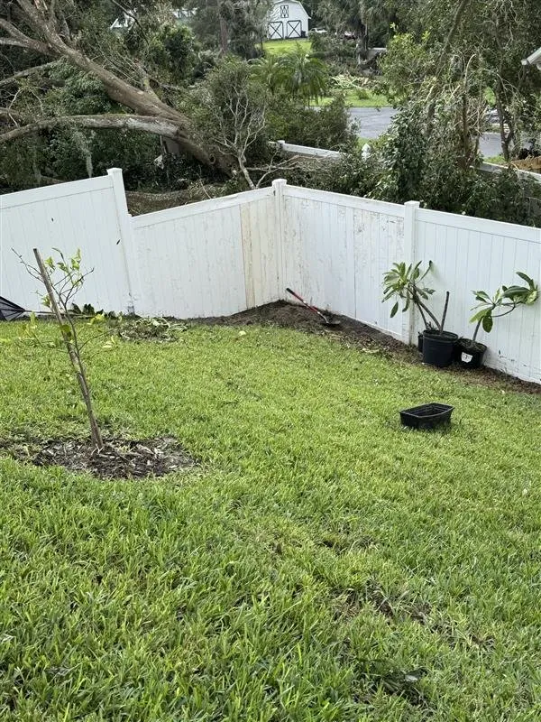Local outdoor landscaping for year-round maintenance in Tampa Bay, FL by Harbor Landscape & Tree