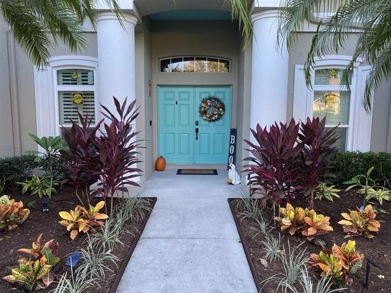 Top-rated yard cleanup service for year-round maintenance across Tampa Bay, FL - Harbor Landscape & Tree