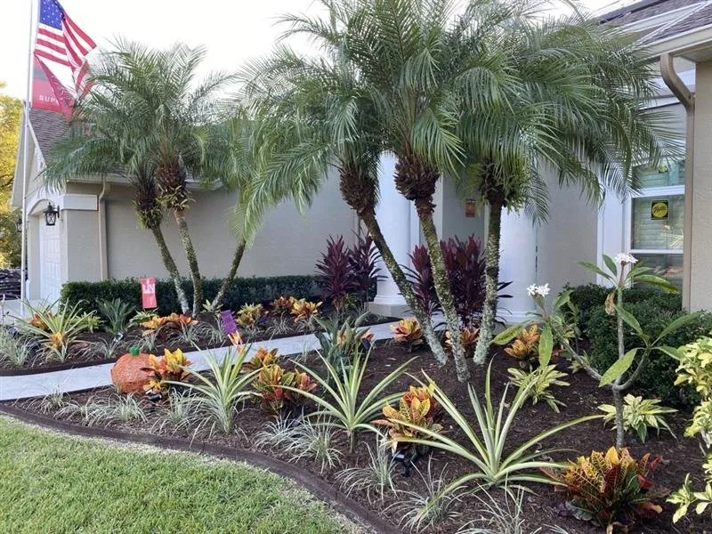 Local outdoor landscaping experts serving Tampa Bay, FL - Harbor Landscape & Tree