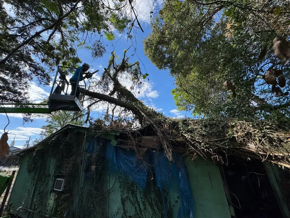 Expert outdoor landscaping in Tampa Bay, FL by Harbor Landscape & Tree