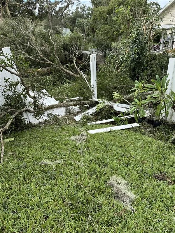 Custom yard cleanup service in Tampa Bay, FL by Harbor Landscape & Tree