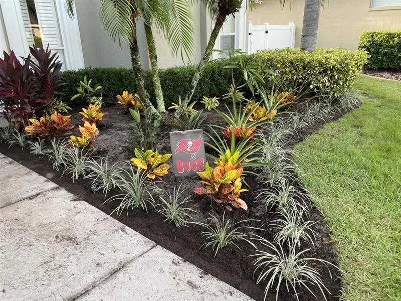 Professional landscape installation for homes across Tampa Bay, FL - Harbor Landscape & Tree
