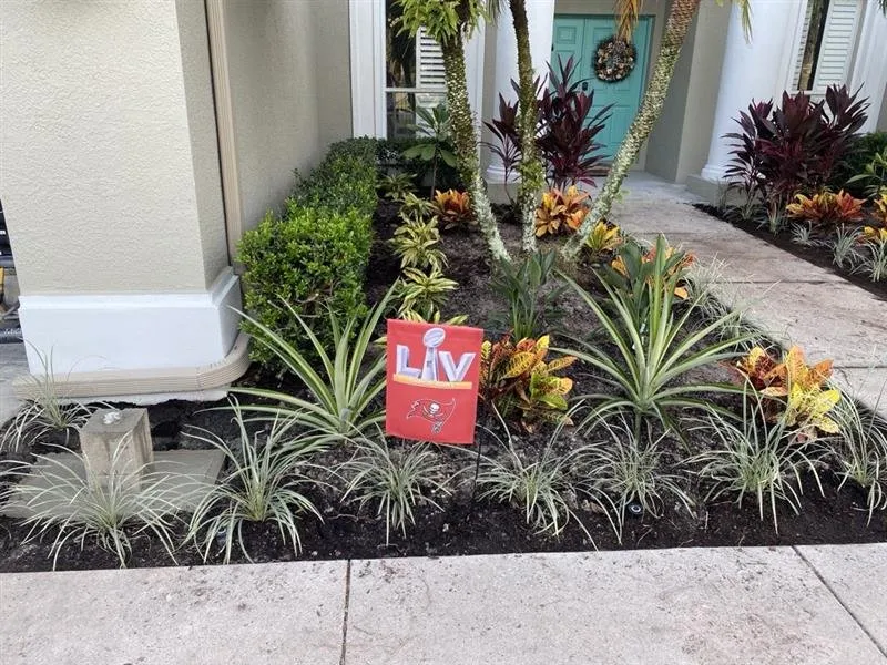 Professional landscape design experts serving Tampa Bay, FL - Harbor Landscape & Tree