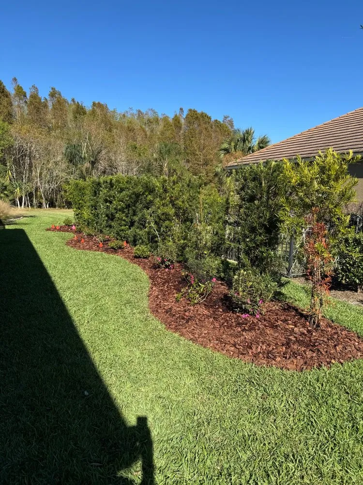 Affordable outdoor landscaping in Tampa Bay, FL - Harbor Landscape & Tree
