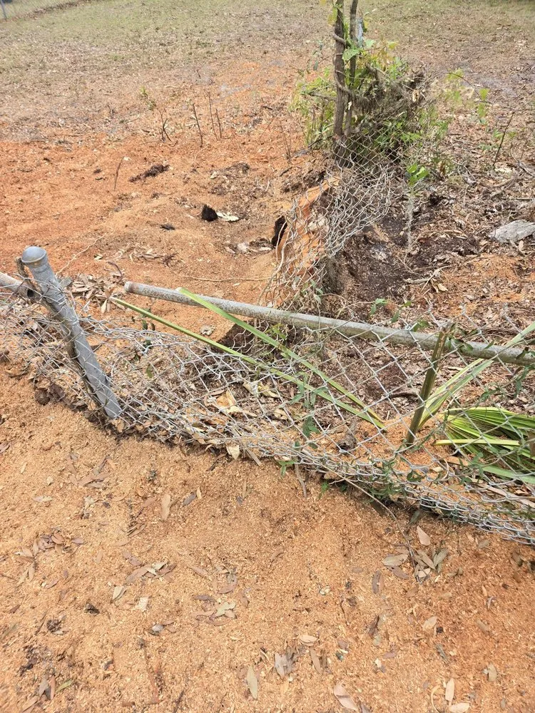 Expert outdoor landscaping for year-round maintenance across Tampa Bay, FL - Harbor Landscape & Tree