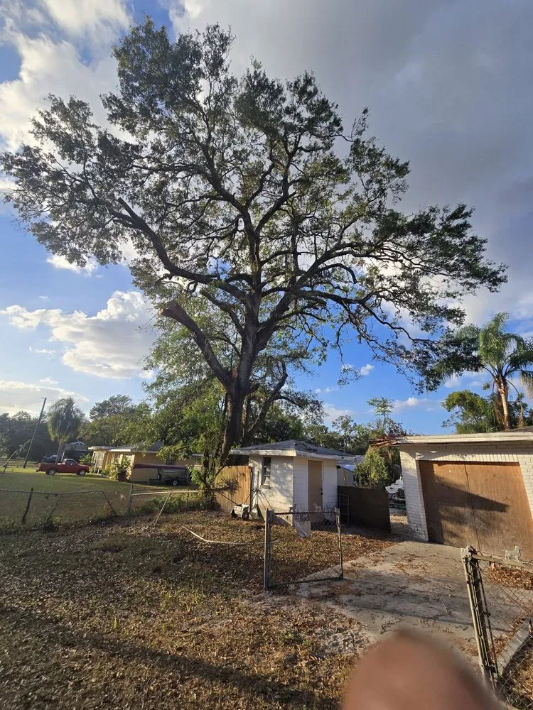 Top-rated landscape installation in Tampa Bay, FL by Harbor Landscape & Tree
