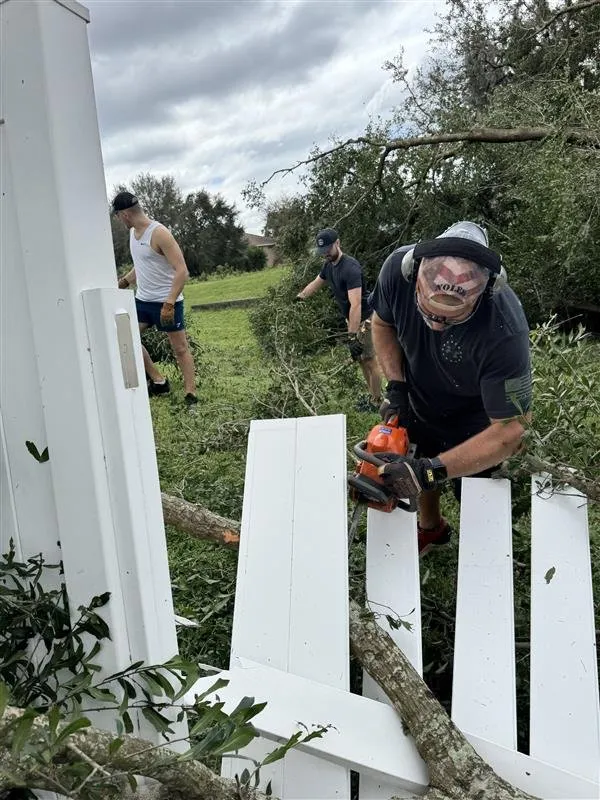 Expert landscaping services experts serving Tampa Bay, FL - Harbor Landscape & Tree