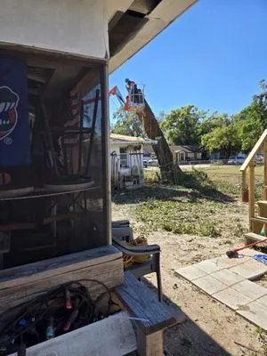 Harbor Landscape & Tree Logo