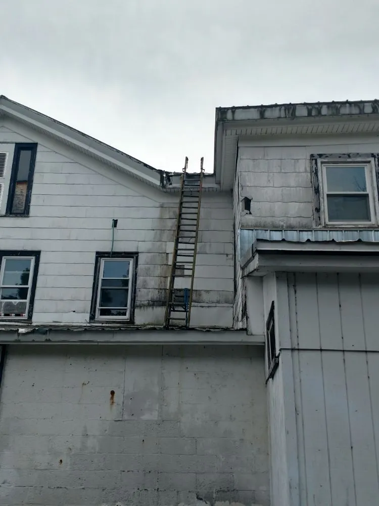 Trusted lawn care service experts serving Adams, NY - Harbor services