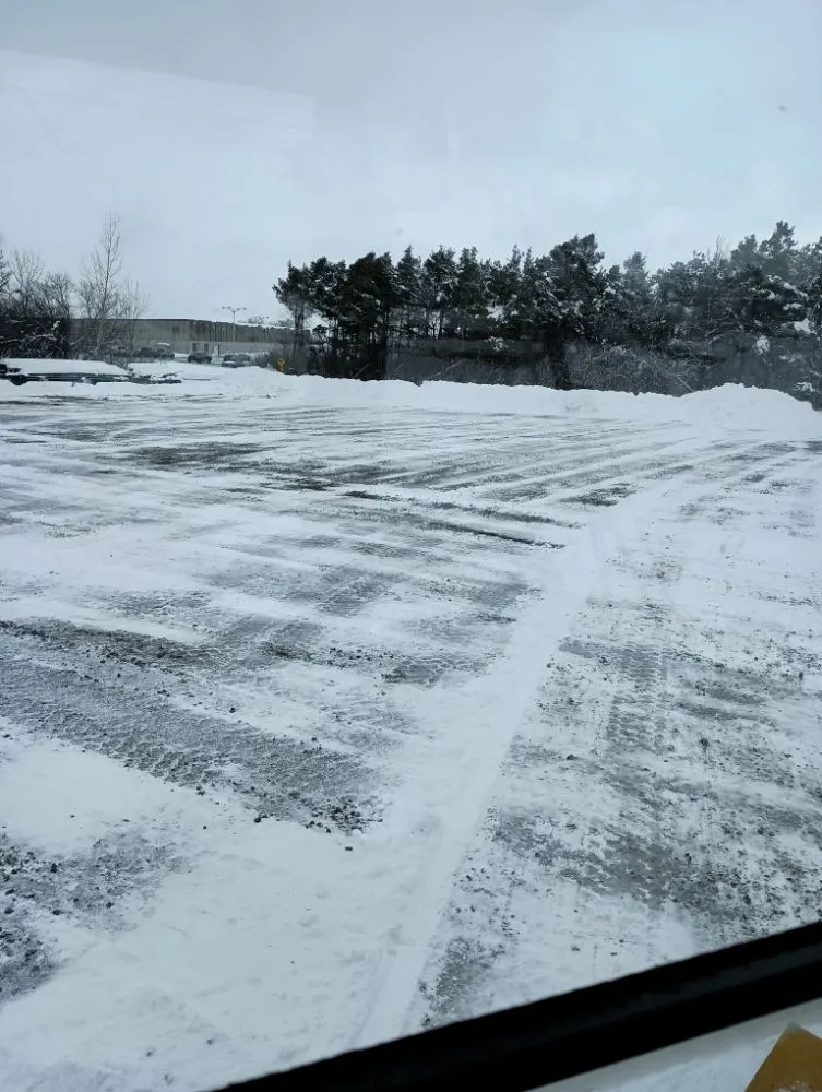 Trusted landscaping services for outdoor upgrades in Adams, NY by Harbor services