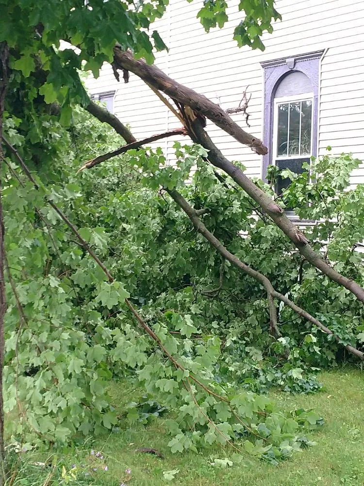 Professional lawn care service in Adams, NY by Harbor services