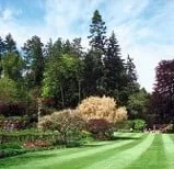 Affordable lawn mowing service in Rio Grande, NJ by Harbor View Landscaping