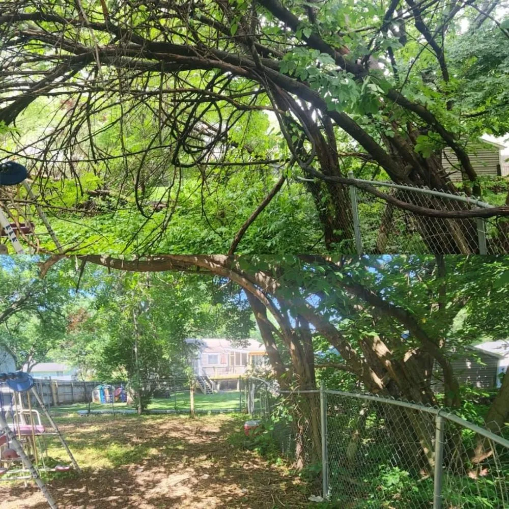 Affordable residential landscaping for year-round maintenance in Norwalk, IA by Harbour's Lawn