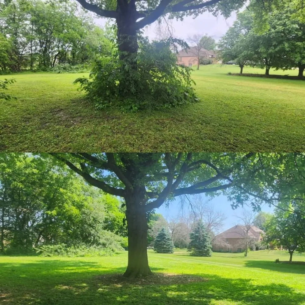 Top-rated yard cleanup service for year-round maintenance across Norwalk, IA - Harbour's Lawn