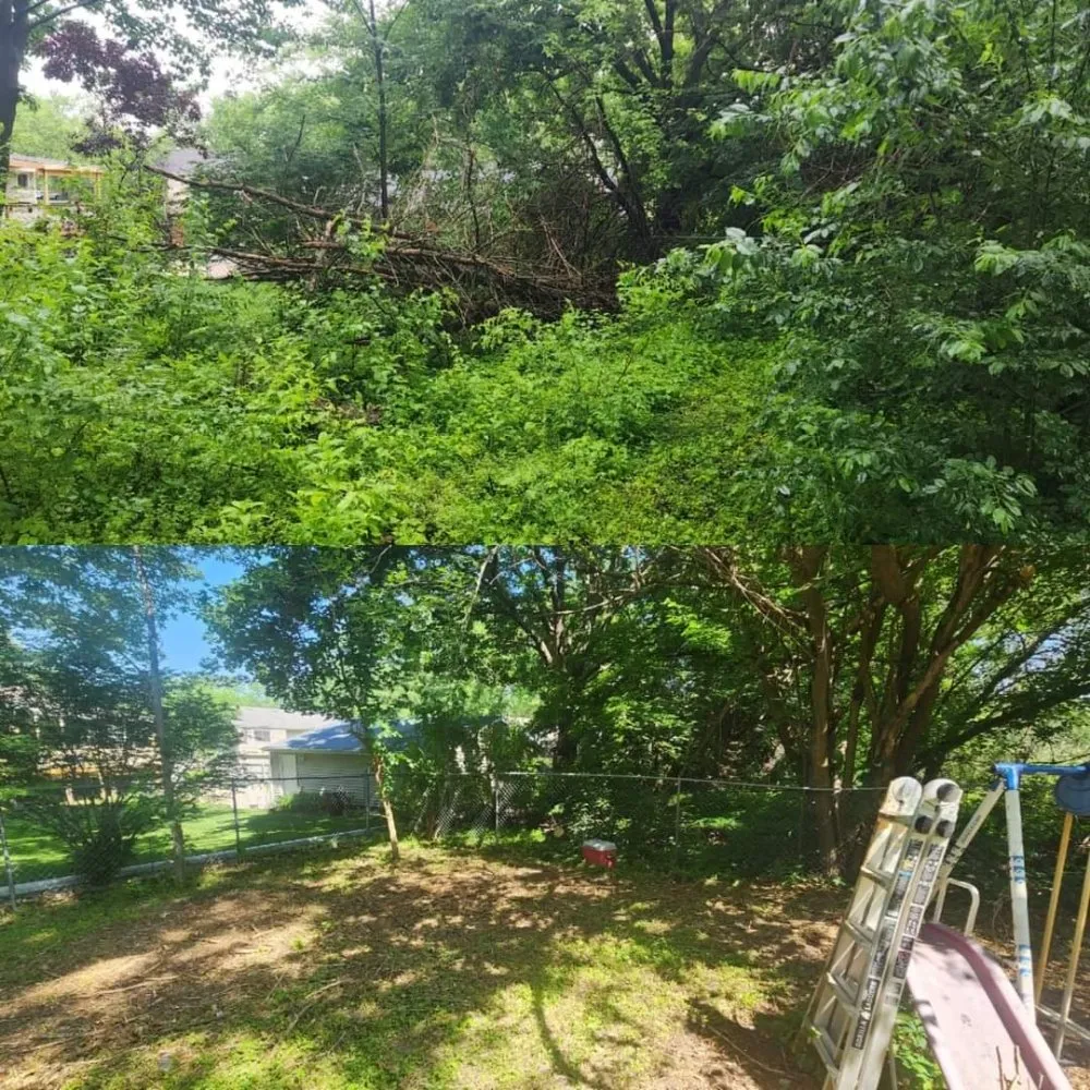 Affordable yard cleanup service in Norwalk, IA by Harbour's Lawn