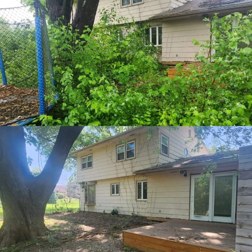 Top-rated outdoor landscaping in Norwalk, IA - Harbour's Lawn