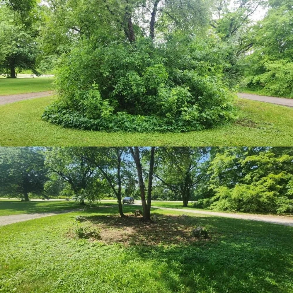 Reliable landscaping services in Norwalk, IA - Harbour's Lawn